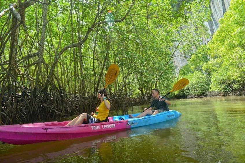 Two people kayaking on a river surrounded by mangrove trees. 5