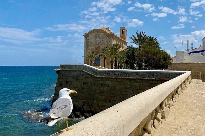 All-Inclusive Pink Lake & Tabarca Island Day Trip from Torrevieja 3