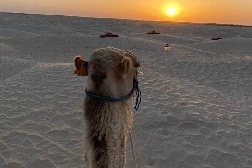 Ksar Ghilaine: Sunset Dinner and Starlit Night in the Desert 5