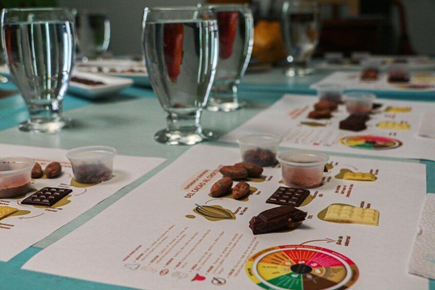El Chocolate de la Paz: A Journey of Flavor, Memory, and Peace 5