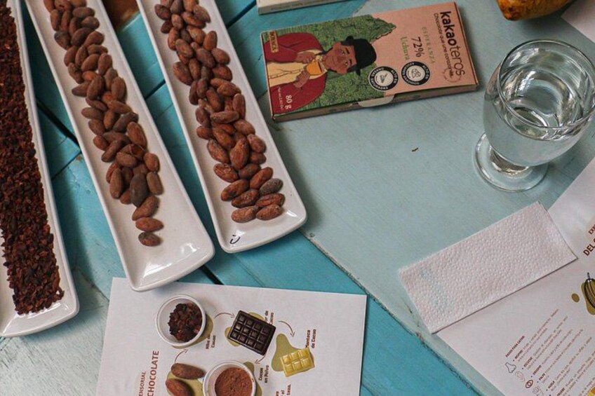 El Chocolate de la Paz: A Journey of Flavor, Memory, and Peace 3