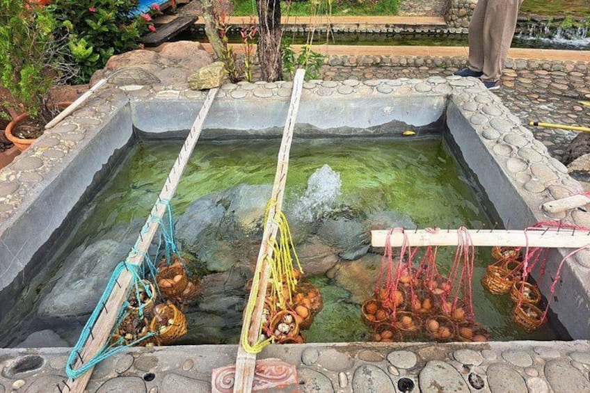 Un étang à poissons équipé de filets et de paniers. 2