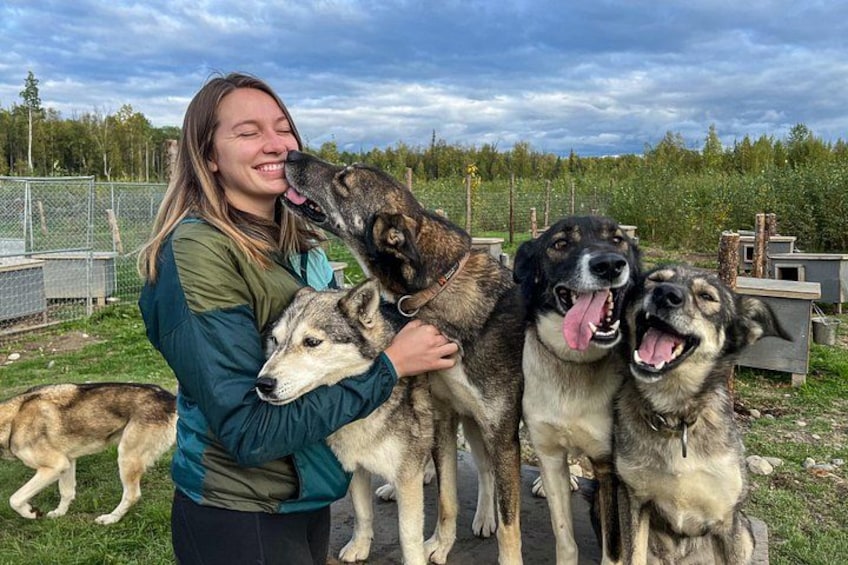 A person holding four dogs in an outdoor setting with a fence and trees in the background. 1