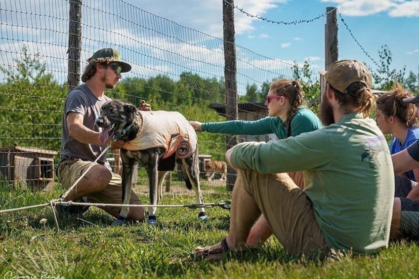 Sled Dog Kennel Tour 5