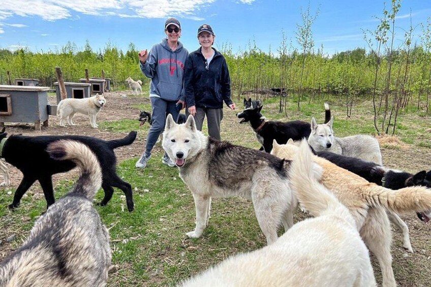 Sled Dog Kennel Tour 2
