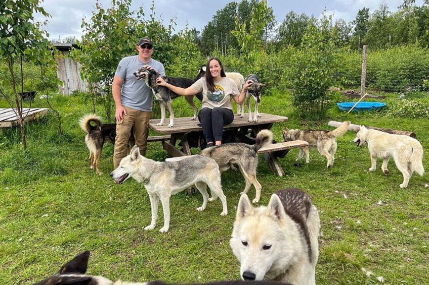 Sled Dog Kennel Tour 2