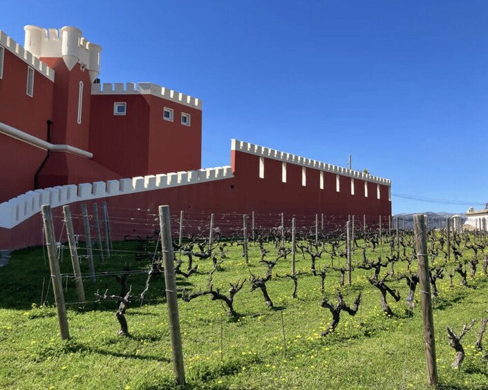Picture 6 for Activity Nice : Wine Tasting at a Historic Château in a Land Rover ! 3