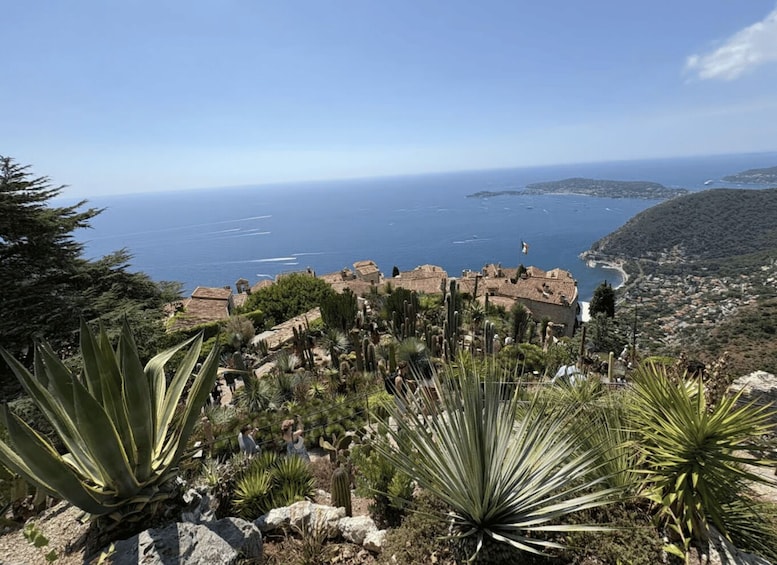 Picture 36 for Activity Nice : French Riviera Experience : Èze, Views & Hidden Roads 3