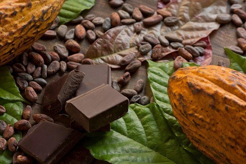 Private Handcrafts & Chocolate Tour in Etla, Oaxaca 4