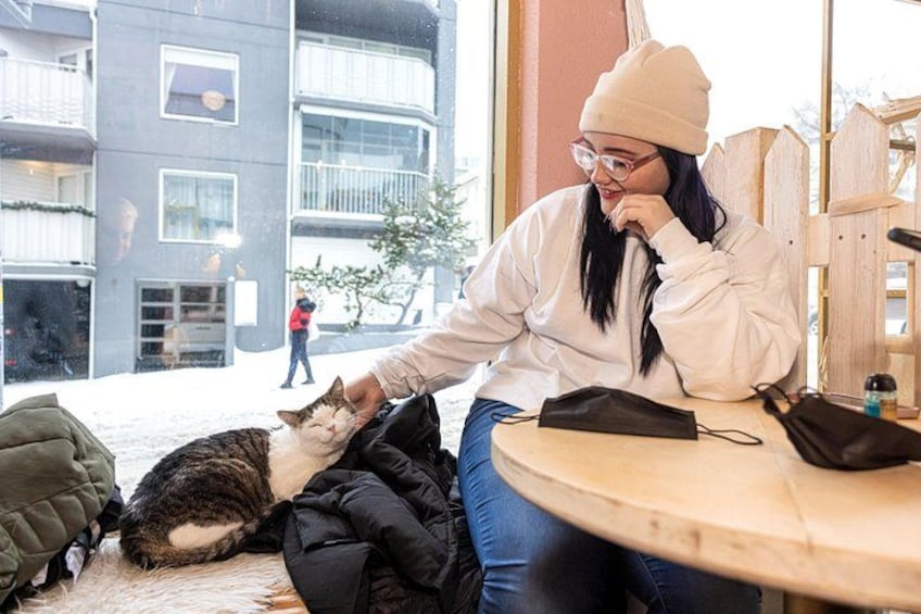 Una persona sentada en una mesa con un gato, un edificio al fondo y una calle nevada. 3