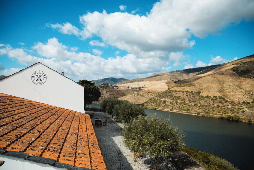 Douro Valley & Wine Tour