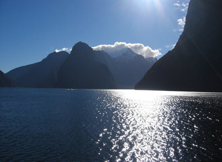 Picture 4 for Activity Milford Sound Premium Day Tour and Cruise from Te Anau 4