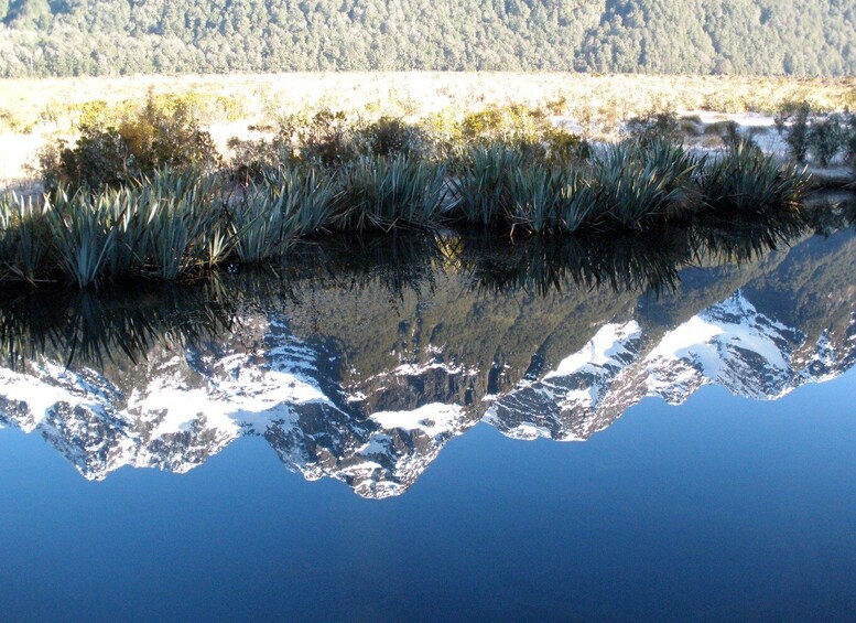 Picture 5 for Activity Milford Sound Premium Day Tour and Cruise from Te Anau 5