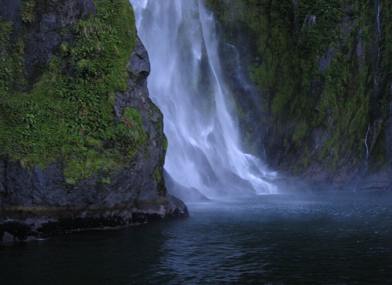 Picture 3 for Activity Milford Sound Premium Day Tour and Cruise from Te Anau 3