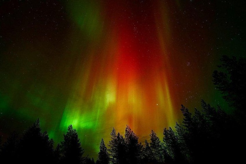 Het noorderlicht boven een bebost landschap. 5