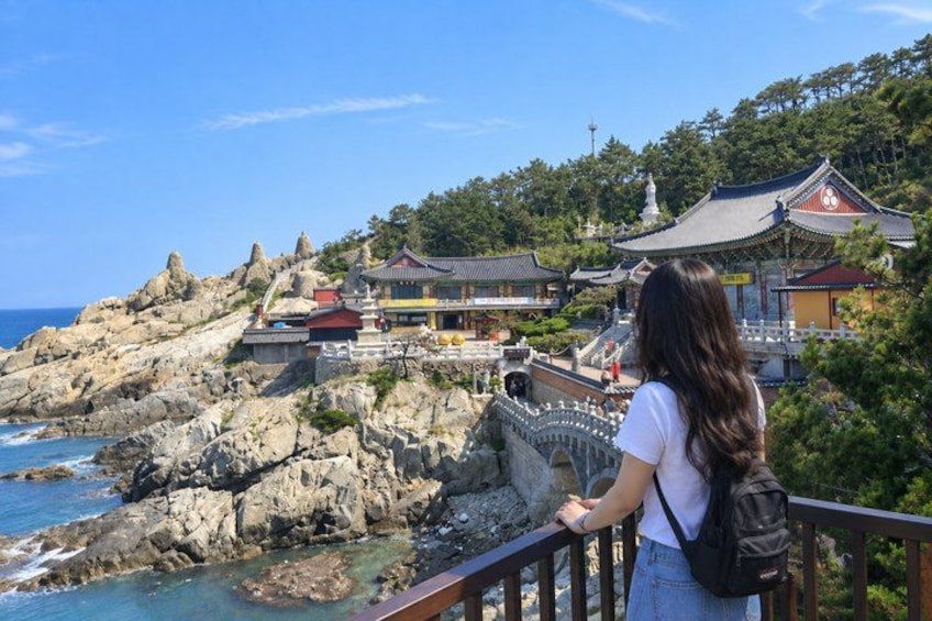 Busan Highlights: Small Group, Hotel Pick-up & Sky Capsule 2