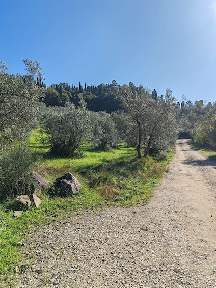 Picture 13 for Activity Florence by E-Bike: Hidden Hills & Local Thrills 2