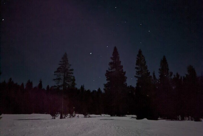 Vast meadows and night sky await!