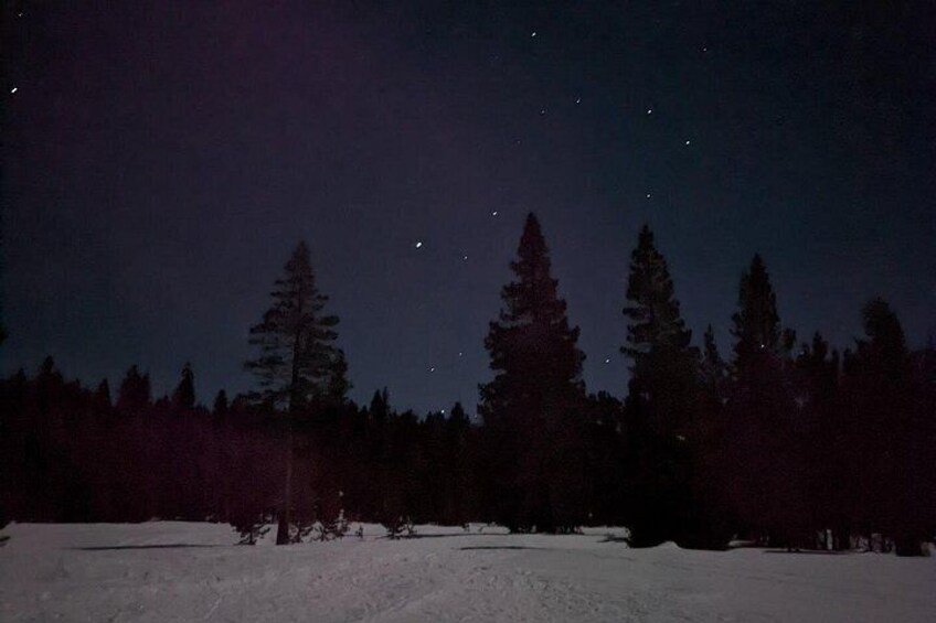 Vast meadows and night sky await! 3