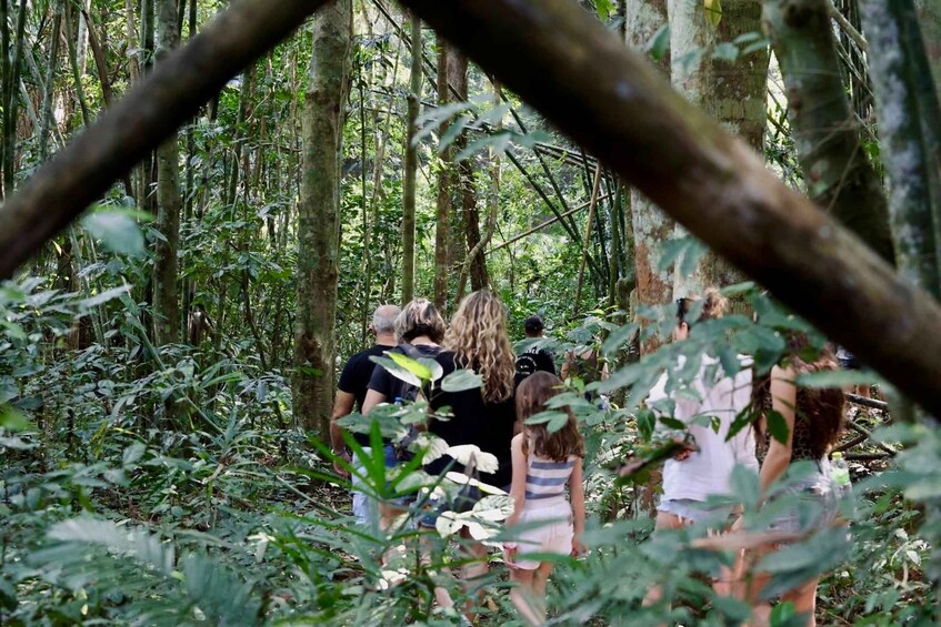 Picture 32 for Activity From Khao Sok: Half-Day Rainforest Trek with Local Guides 5