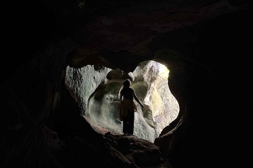 Picture 34 for Activity From Khao Sok: Half-Day Rainforest Trek with Local Guides 4