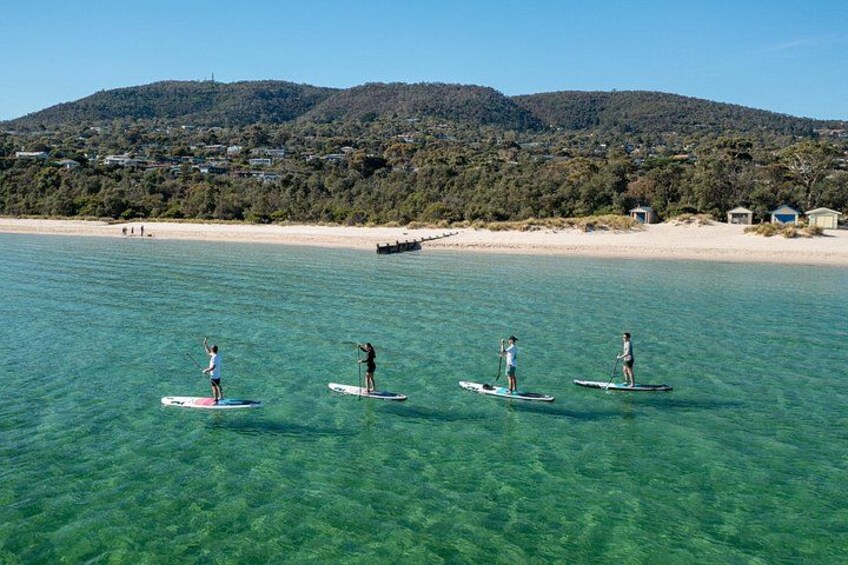SUP the tranquil waters of the Mornington Peninsula 1