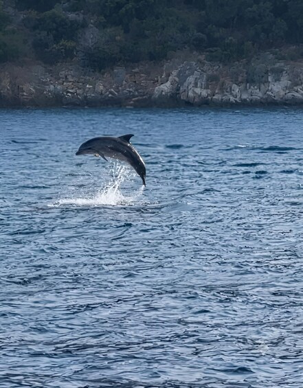 Picture 10 for Activity KRK: Plavnik island Cruise, Golden Beach & explore Blue Cave 4