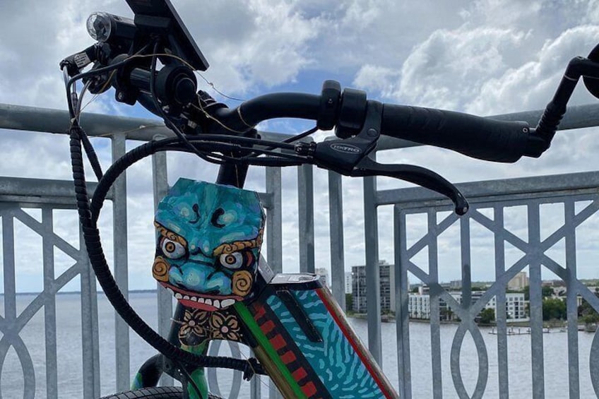 Electric Bike Art and Architecture Guided Tour in Jacksonville 2