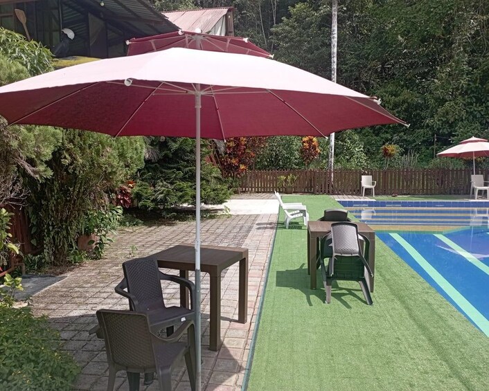 Picture 8 for Activity Grand Selva Tours 3 Day Jungle Expedition Ecuador all incl 3