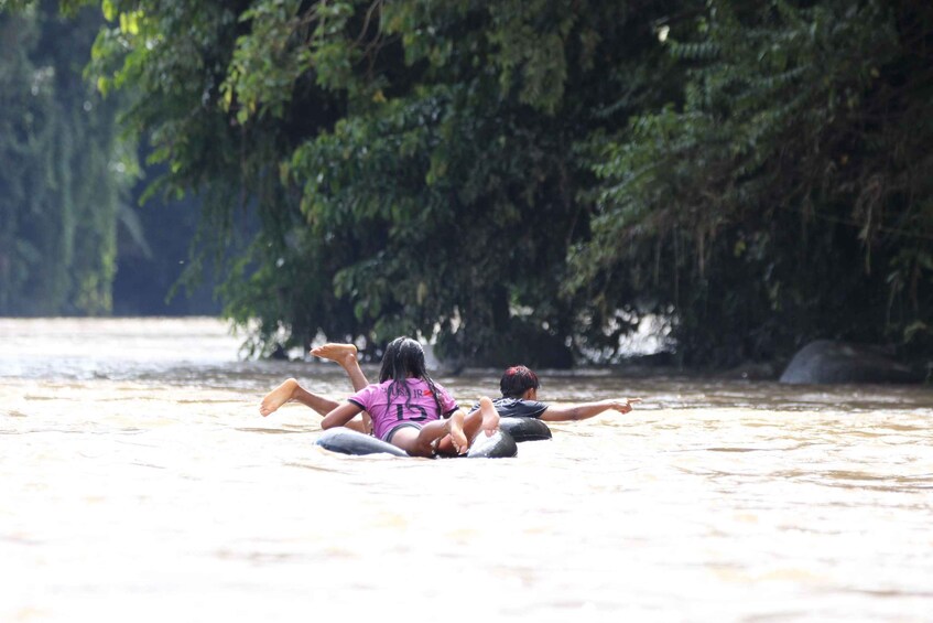 Picture 32 for Activity Grand Selva Tours 3 Day Jungle Expedition Ecuador all incl 5
