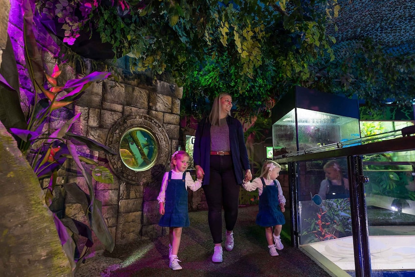 Une femme et deux enfants se promènent dans une exposition intérieure, au milieu de plantes artificielles et d’une structure en verre. 5