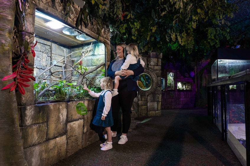 Une femme tenant un enfant dans un espace d’exposition intérieur, avec des murs en pierre et une structure en verre. 4