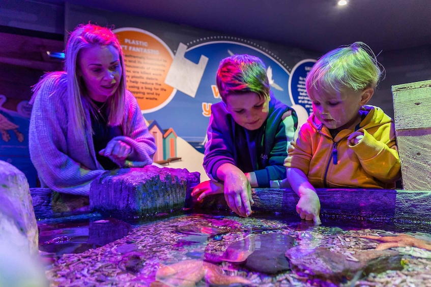 Trois personnes interagissent avec une exposition sur les aquariums. 3