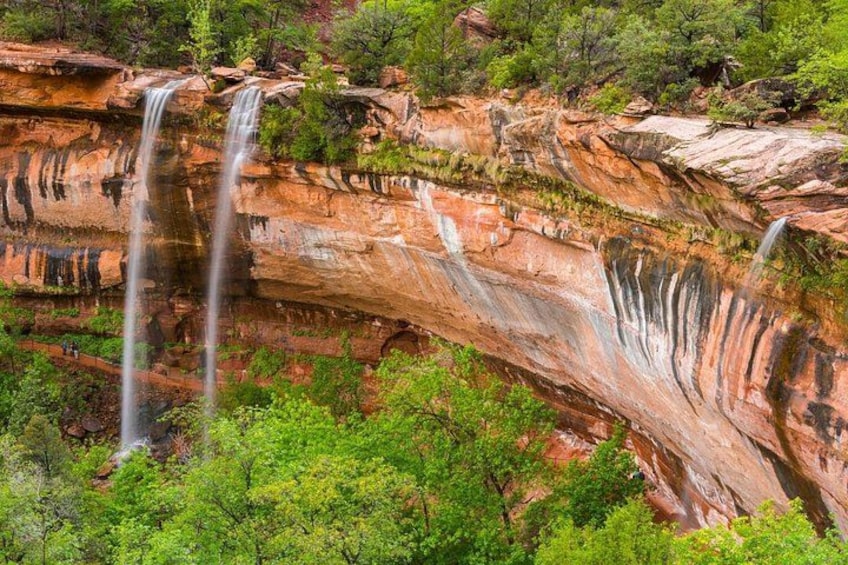 Una cascada escalonada desciende por un acantilado rocoso rodeado de vegetación exuberante. 4
