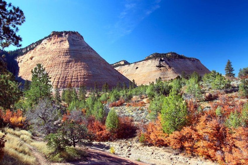 Utah Mighty 5 National Parks Self-Guided Driving Audio Tours 4
