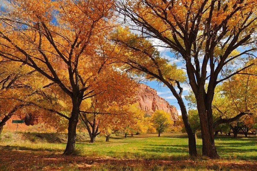Un parc aux arbres aux couleurs automnales, un champ d’herbe et, au loin, une formation rocheuse rouge. 3