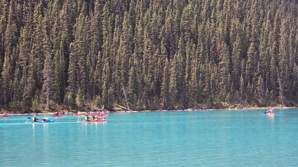 A group of people kayaking on a turquoise lake surrounded by dense forest. 5