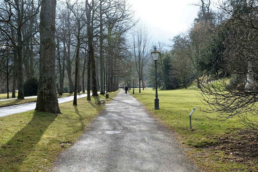 A gravel path in a park with trees and benches. 5