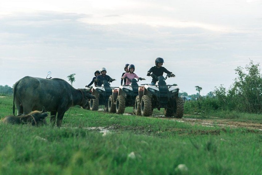 Siem Reap Countryside Quad Biking Tour 2