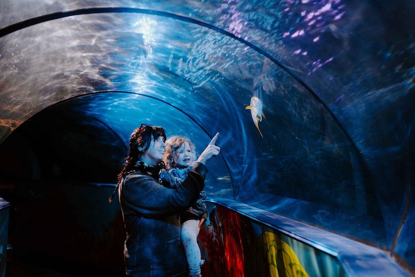 A person holding a child inside a tunnel with a fish swimming above. 5