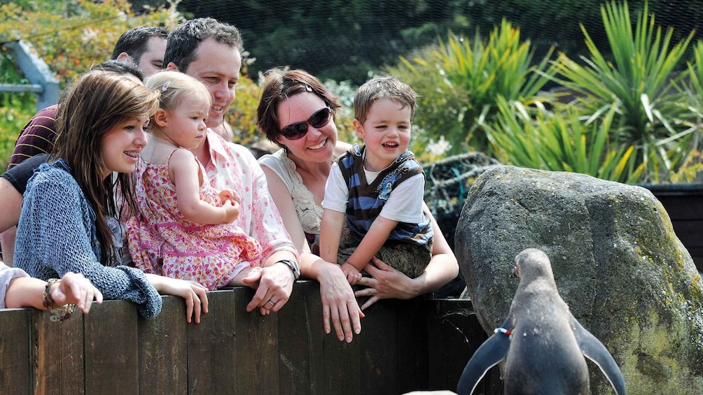 A family at a zoo, leaning on a wooden fence, with a large rock and a bird in the foreground. 1