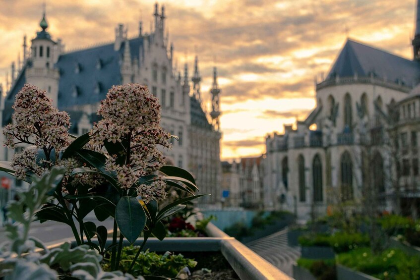 Historical Leuven: Private Walking Tour with a Local Guide 1