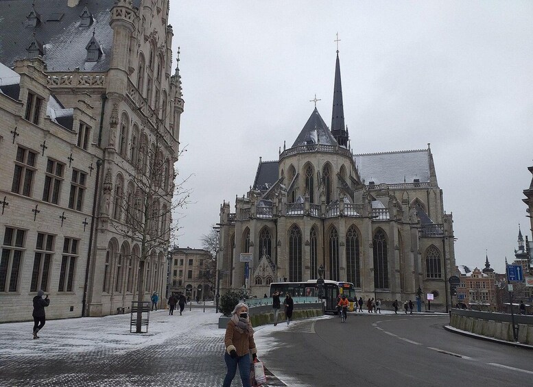 Picture 7 for Activity Historical Leuven: Private Walking Tour with a Local Guide 2