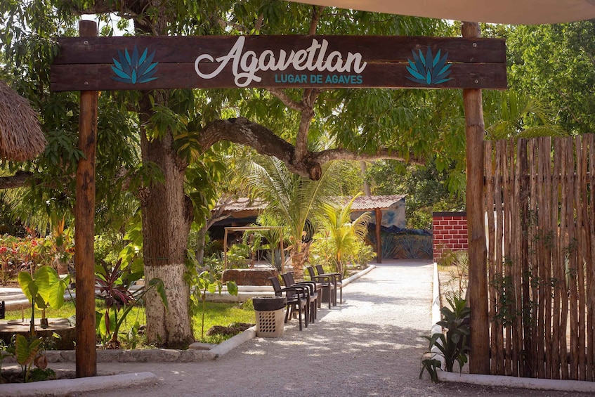 Picture 11 for Activity Cozumel: Private Buggy Tour to Punta Sur Park All Inclusive 3