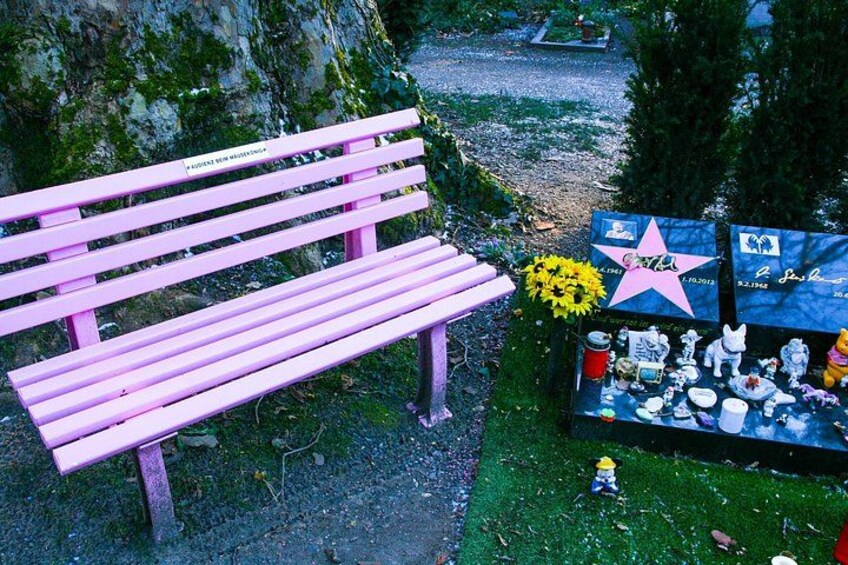 A pink bench, a star-shaped memorial, and a display of personal items. 3