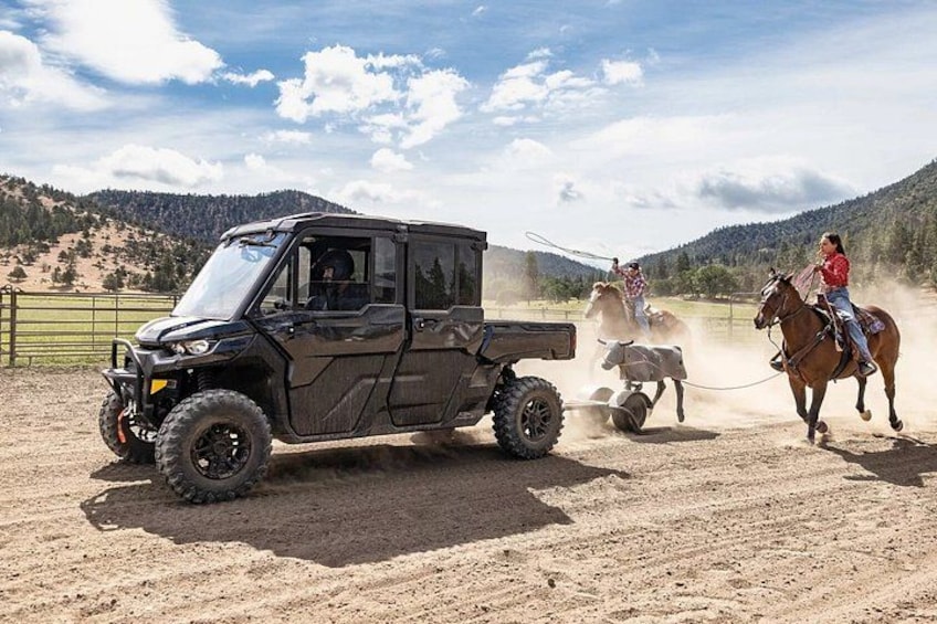 A black off-road vehicle with a trailer attached, a horse, and a person riding the horse. 2