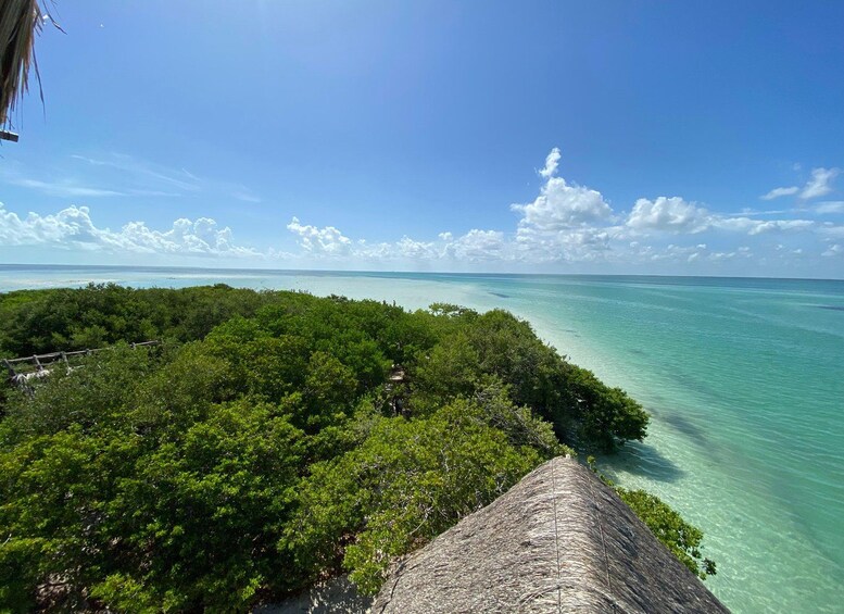 Holbox: Punta Mosquitos, Yalahau & Pasión Island Boat Tour 1