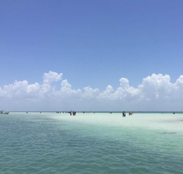 Picture 3 for Activity Holbox: Punta Mosquitos, Yalahau & Pasión Island Boat Tour 3