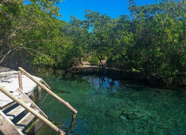 Picture 2 for Activity Holbox: Punta Mosquitos, Yalahau & Pasión Island Boat Tour 2