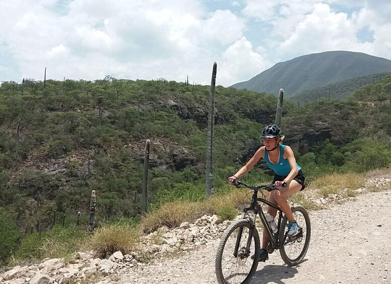 A person riding a mountain bike on a dirt path surrounded by greenery and a mountain in the background. 5